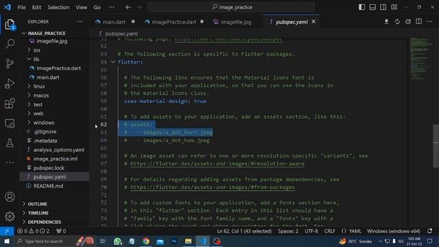 How to add image in Flutter app | 2023 | Visual Studio Code | Flutter Tutorial