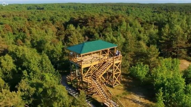 10 достопримечательностей и интересных мест Калининграда. Что посмотреть в Калининграде?