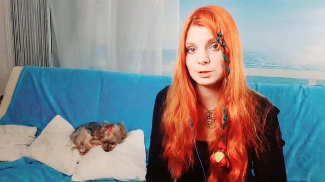 Стоит ли брать взрослую собаку? Стоит ли брать отказника.