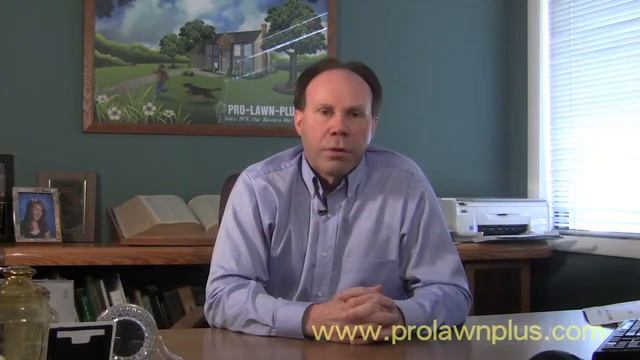 FAQ Mushrooms смотреть онлайн