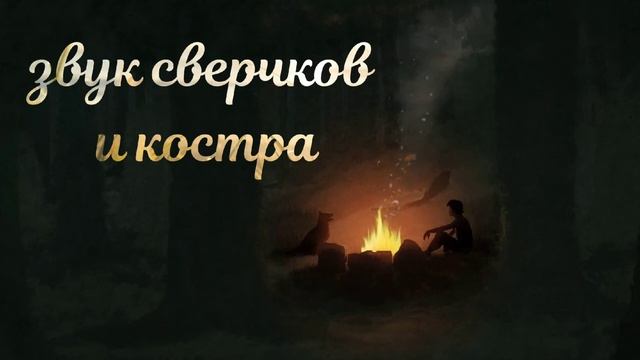 звук сверчков и костра в ночном лесу / атмосфера для медитации
