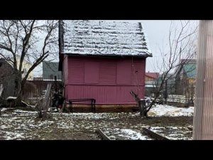 Дача 01 апреля 2023 | Розы не пережили зиму ?