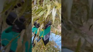 Садовый измельчитель электрический CMI C-ELH 2500