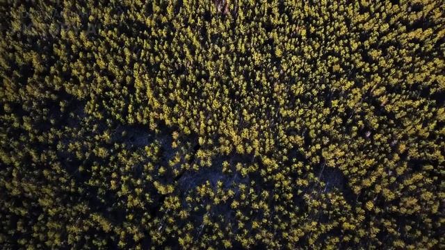 Россия требует от Европы вернуть отобранные удобрения в портах иначе будет ответ смотреть онлайн