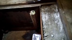 Демонтаж кессона с гаража часть первая
