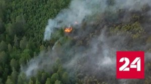 Природные пожары тушат в 16 регионах России - Россия 24 