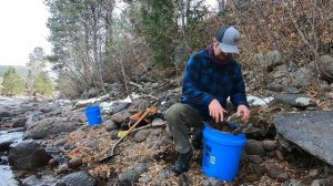 Prospecting for Gold - Finding Rich Gold Deposits to Dredge!