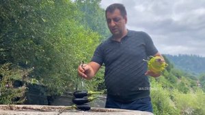 BEST SHISH KABOB RECIPE | VEGETABLES AND LAMB BBQ KEBAB | WILDERNESS COOKING KABOBS RECIPES