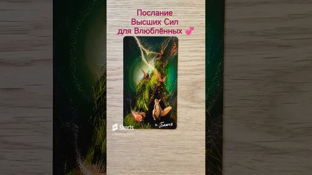 Послание Высших сил? для Влюбленных ? #тарораскладнаотношения #таро #тароотношения