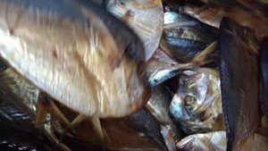 Рыба луна (вомер) Х/К