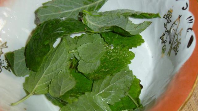 Мохито (Mojito) безалкогольный
