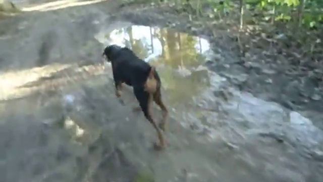 На улице Чапаева смотреть онлайн