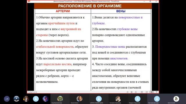 Лекция Венозная система
