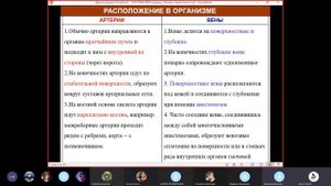 Лекция Венозная система