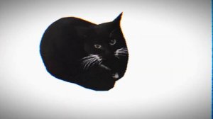 мем Максвелл кот|mem maxwell cat