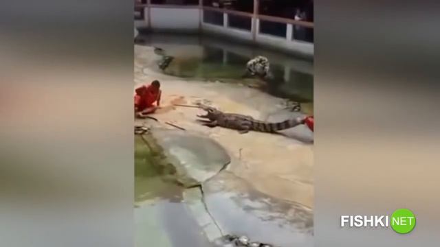 Ну, так, чисто поржать смотреть онлайн