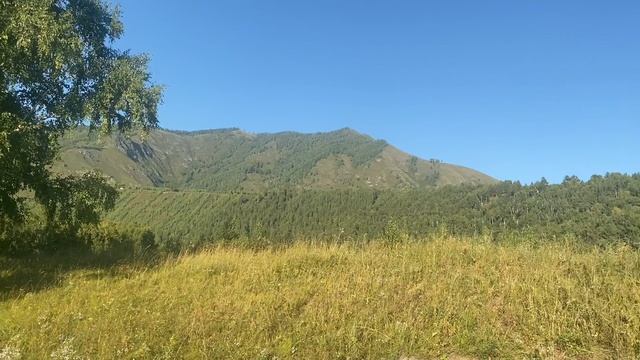 посёлок Березки, видео №2 у Юрия