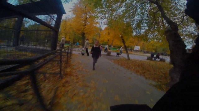 воронежский зоопарк смотреть онлайн