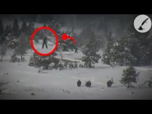 5 Mysterious Paranormal Videos That Need To Be Explained