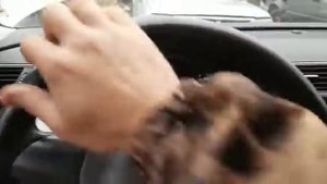 Двигатель Пассат СС 1.8 CDA