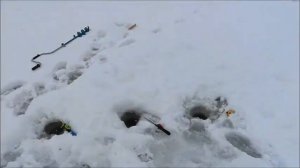 Рыбалка на Воронежском Водохранилище, съёмка 10.02.2022