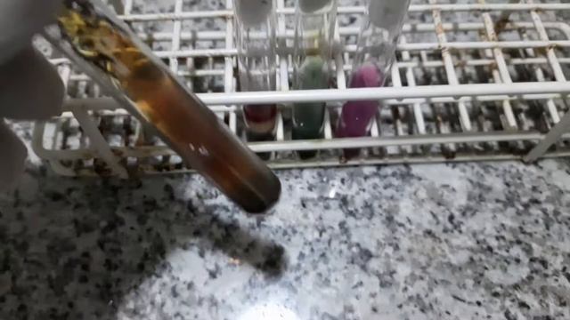 Proteus vulgaris Colony morphology, Gram Stain,Biochemical tests, Antimicrobial Sensitivity Testing смотреть онлайн