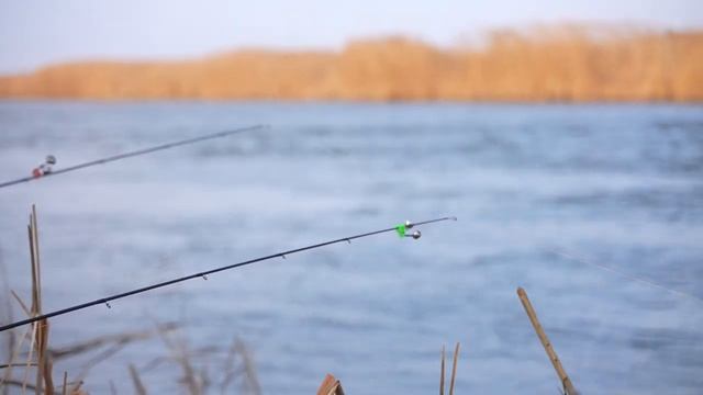 Зимняя рыбалка на сазана смотреть онлайн