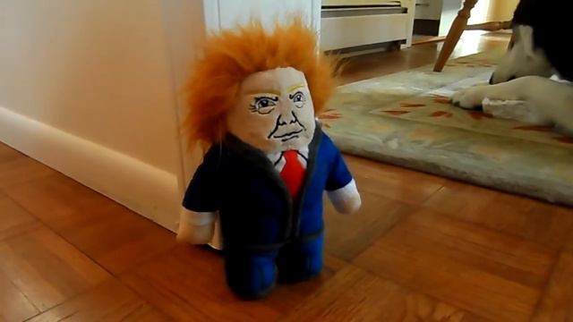 Donald Trump Attacked By Xena