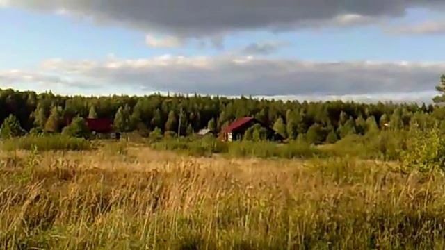 ВИДЫ НА КЛЮКВУ смотреть онлайн