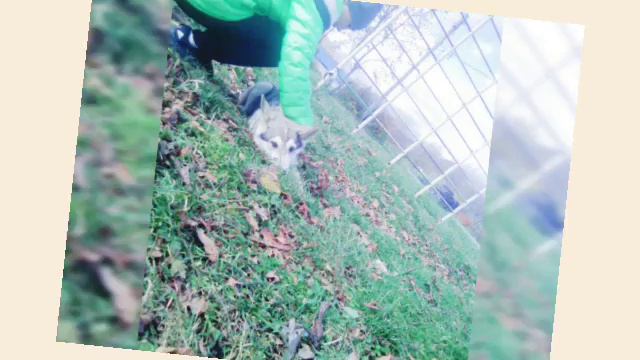 Сделала подарок Айсу на день рождения смотреть онлайн