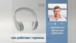 Как работают гормоны. Лекция нейробиолога Вячеслава Дубынина