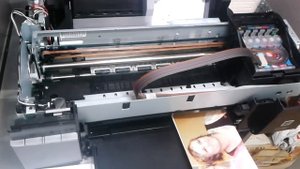 Epson P50 каретка бьется об правую стенку