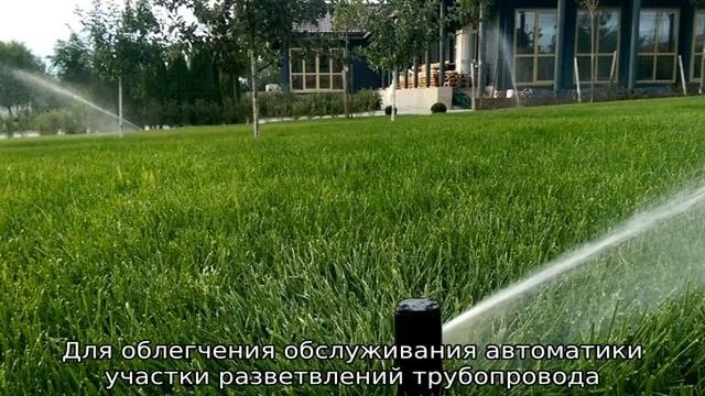 Автополив газона