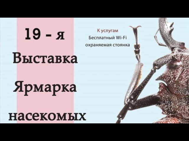 Выставка насекомых весна 2023