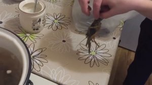 Раки! Как я варю раков дома??? Раки забава для детей!