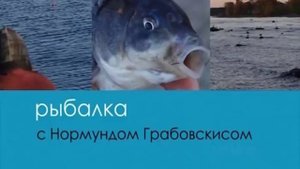 Серия 92. Поплавок. Осенний карась. Рыбалка с Нормундом Грабовскисом.