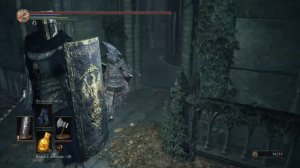 Dark Souls 3 Wood Grain Ring +1 | Кольцо с древесным узором +1 (NG+)