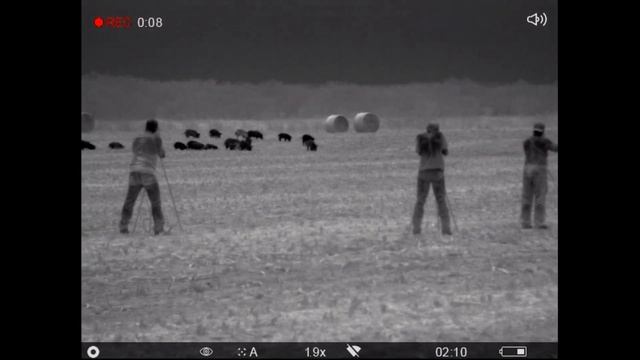 Pulsar Helion XP38 смотреть онлайн