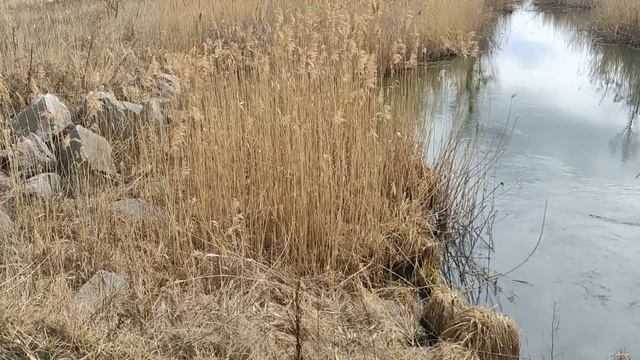 Убывающая луна в марте 2021. Влияние на человека. Что можно и нельзя делать. Фазы луны. смотреть онлайн