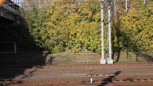 "Плотный трафик!"Электропоезда "Ласточка" и "Сапсан" на станции Химки смотреть онлайн