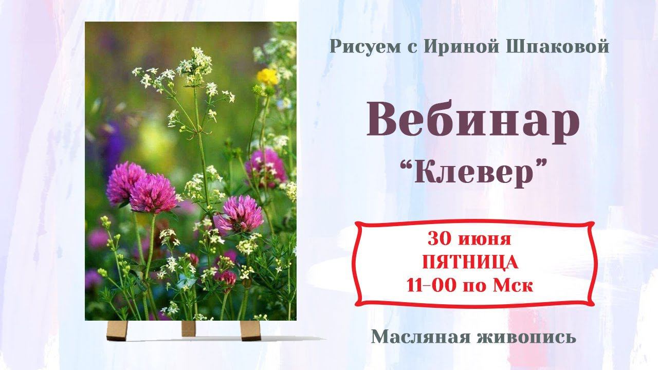 Вебинар "Клевер" смотреть онлайн