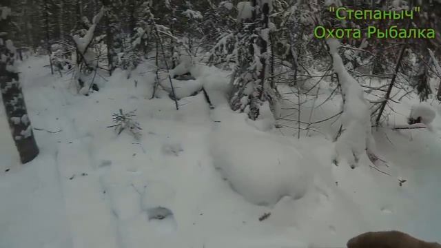 13 заезд Один день По путику к Чаёвне (1 часть) 8 01 19 смотреть онлайн