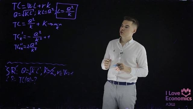 Выявленная минимизация издержек