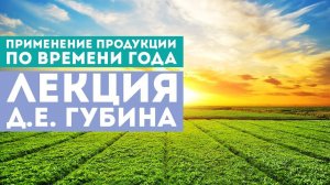 Оптимизация употребления продукции «РОЗ» по времени года - Лекция Губина Д.Е.