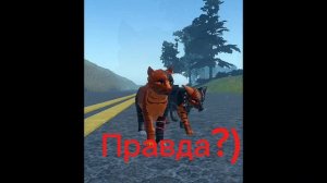 Roblox. Коты воители. У меня классный защитник). Красная крапива.