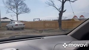 Кунашир.Село Дубовое .