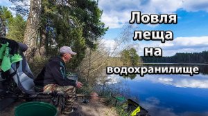 фидерная ловля на водохранилище