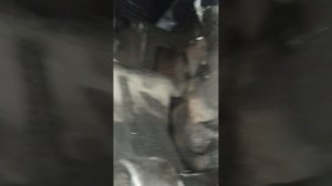 Стук двигателя Ваз 16 клапанов