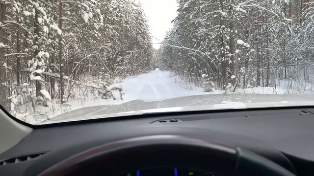 Fortuner 2019 поехал один что бы застрять в ЛЕСУ В СНЕГУ смотреть онлайн