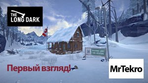 The long Dark (Первый взгляд!)